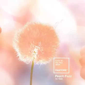 PANTONE Pútko na kľúče L – Peach Fuzz 13-1023 (farba z roku 2024)
