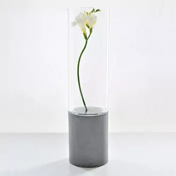 Váza Abha