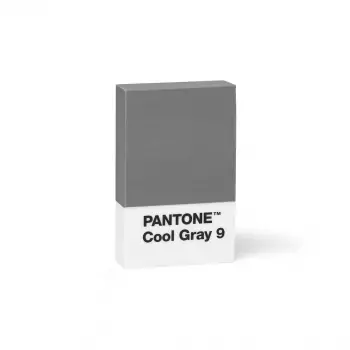 PANTONE Mazacia guma  – Cool Gray 9