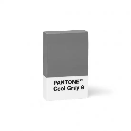 PANTONE Mazacia guma  – Cool Gray 9