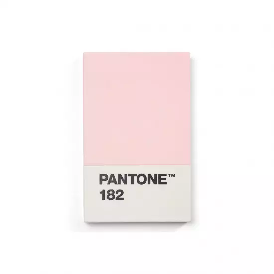 PANTONE Vizitkové puzdro – Light Pink 182