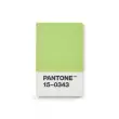 PANTONE Vizitkové puzdro – Green 15–0343