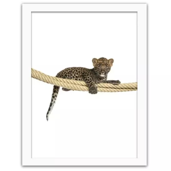 Obraz v ráme – leopard
