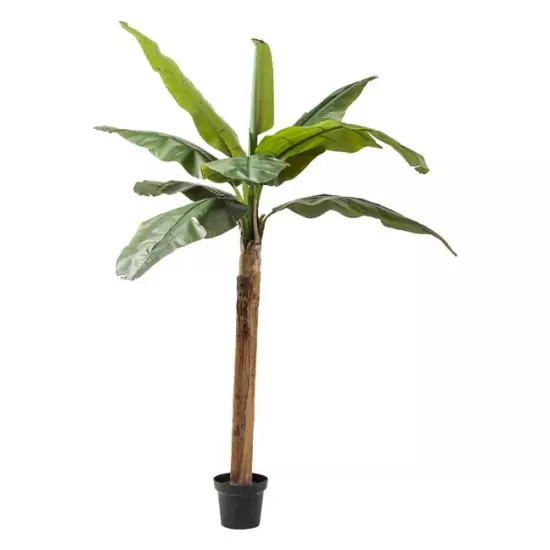 Dekoratívny predmet Plant Banana Tree 190 cm