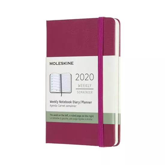 Plánovací zápisník 2020 ružový