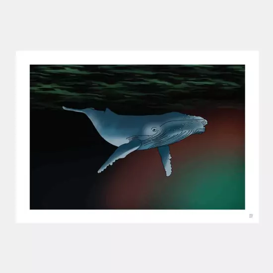 Obraz Whale bez rámu