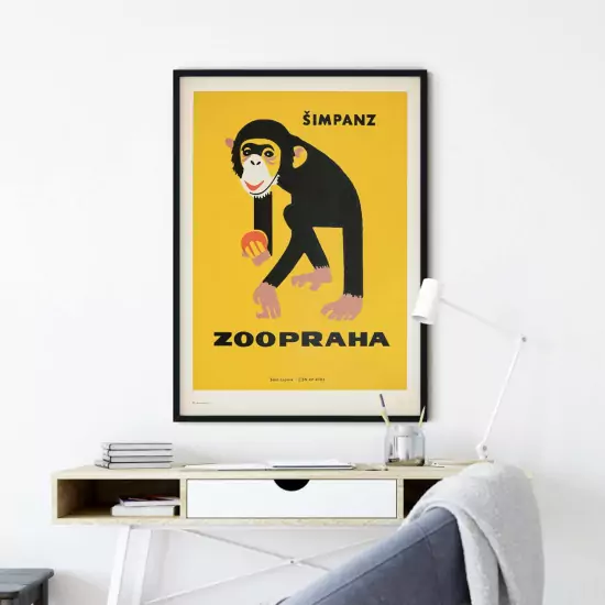Obraz Šimpanz 1963